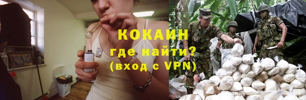 не бодяженный Бородино